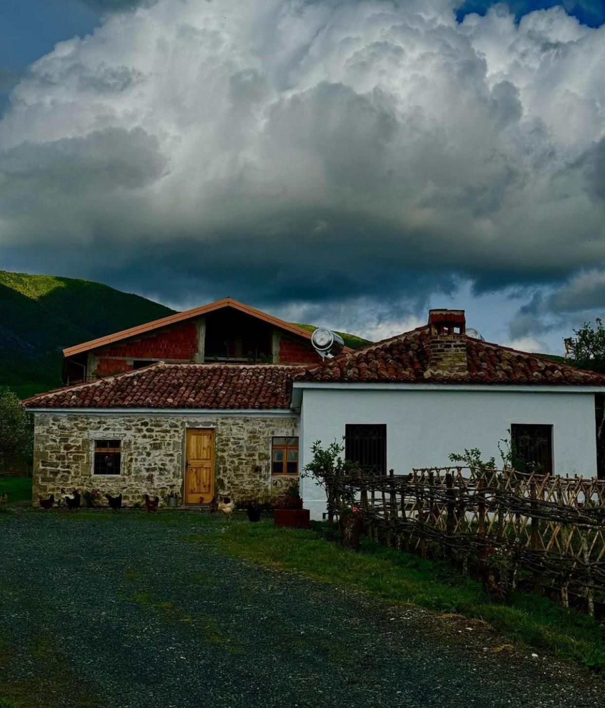 Guesthouse Vitoria - Mrizi I Zanave Fishte Exterior photo